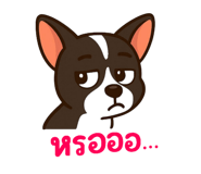 773423675
