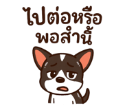 773423679