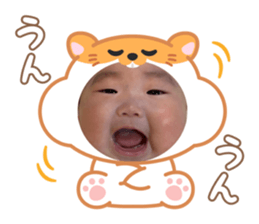 773424437