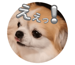 773424447