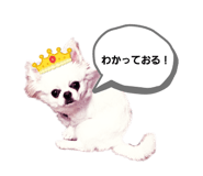773424459