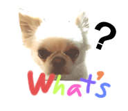 773424463