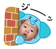 773424465