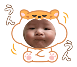 773424466