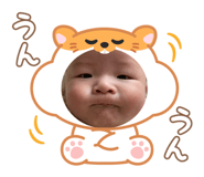 773424466