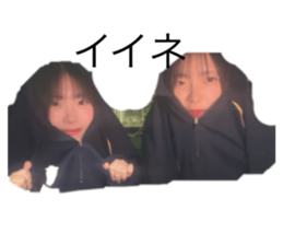 773424493