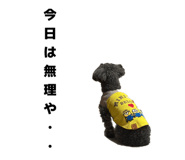 773424659
