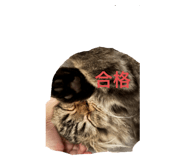 773424713