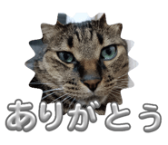 773424761