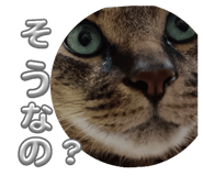 773424763
