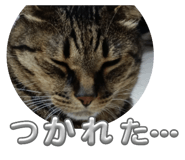 773424771