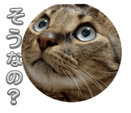773424773