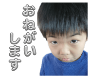 773425274
