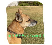 773425310