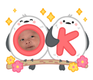 773425343