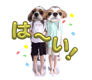 773425929