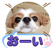 773425935