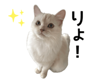 773426028
