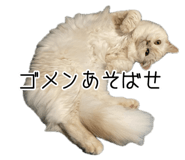 773426033
