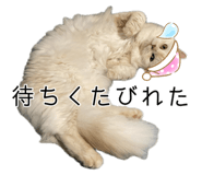 773426042