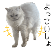 773426043