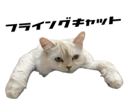 773426045