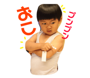 77342881