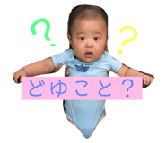 77342885