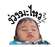 773429013