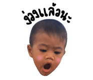 773429020