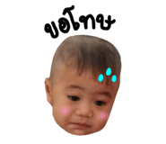 773429023