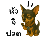 773429115