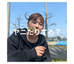 773431497