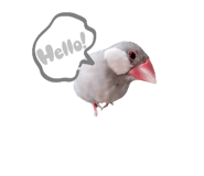 773437390