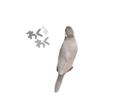 773437391