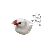 773437392