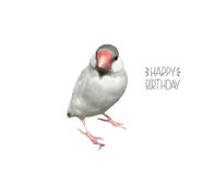 773437393