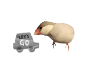 773437395