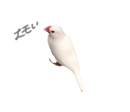 773437396