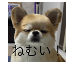 773437681