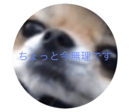 773437688