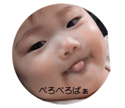 773442331