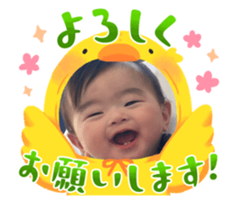 773459544