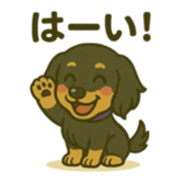 773493107