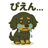 773493109