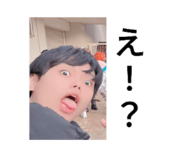773495231