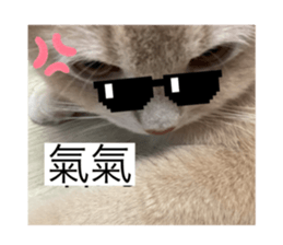 773496662