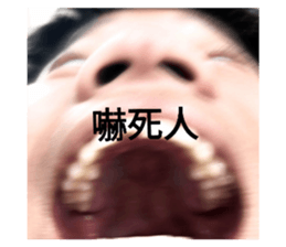 773497204