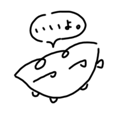 773504046