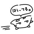 773504050